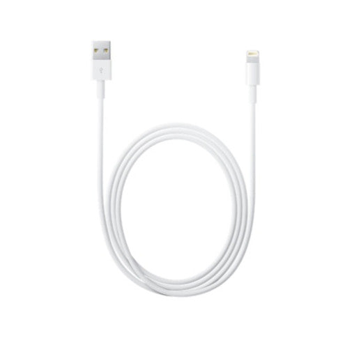 Apple iPhone Lightning to USB Cable 1M