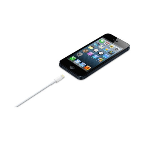 Apple iPhone Lightning to USB Cable 1M